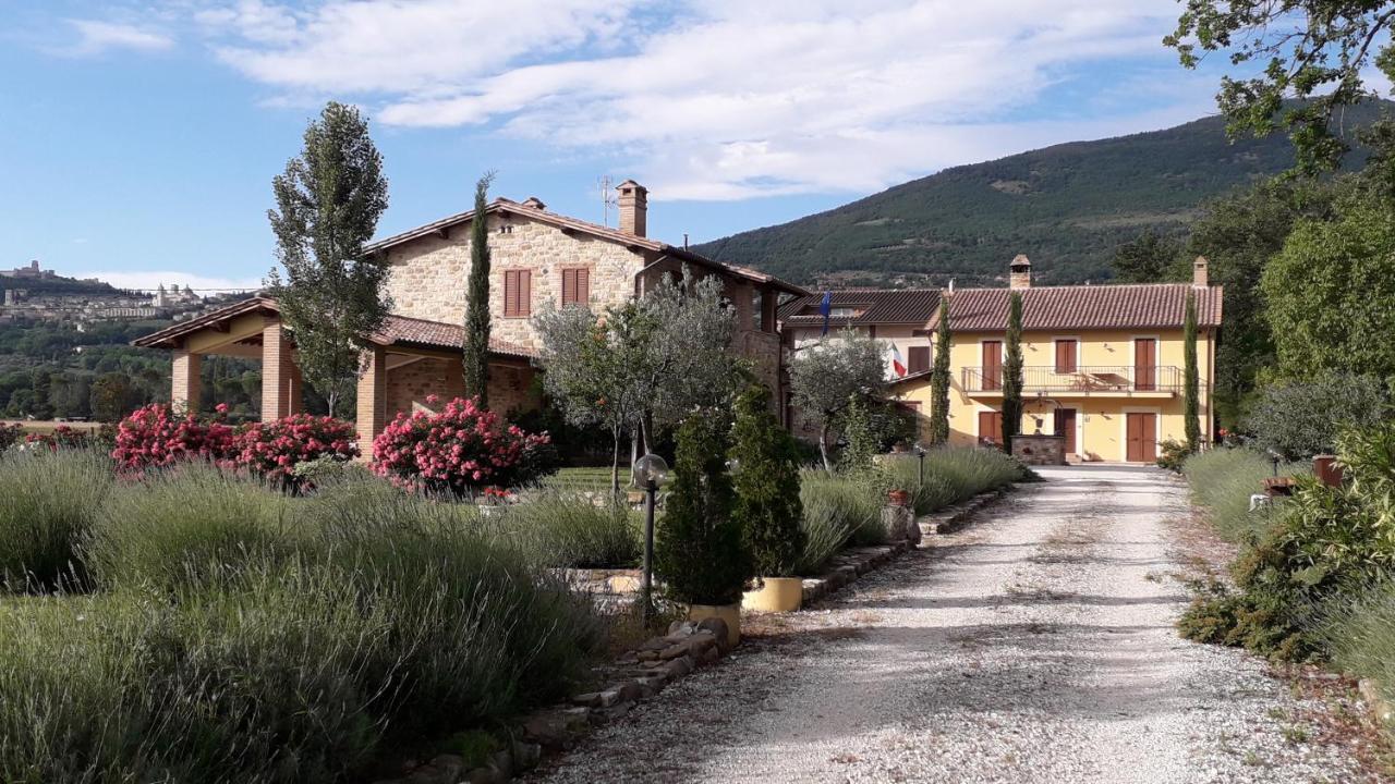 Гостевой дом Sulla Strada Di San Francesco Ассизи Экстерьер фото