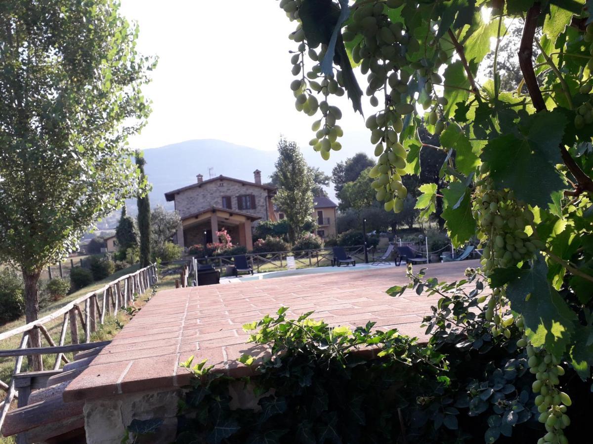 Гостевой дом Sulla Strada Di San Francesco Ассизи Экстерьер фото