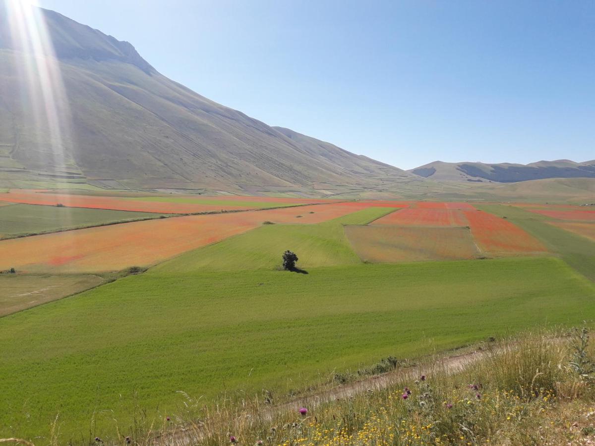 Гостевой дом Sulla Strada Di San Francesco Ассизи Экстерьер фото