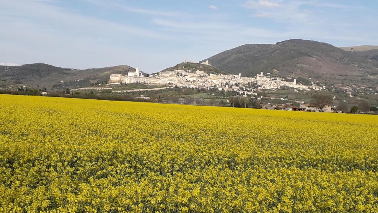 Гостевой дом Sulla Strada Di San Francesco Ассизи Экстерьер фото