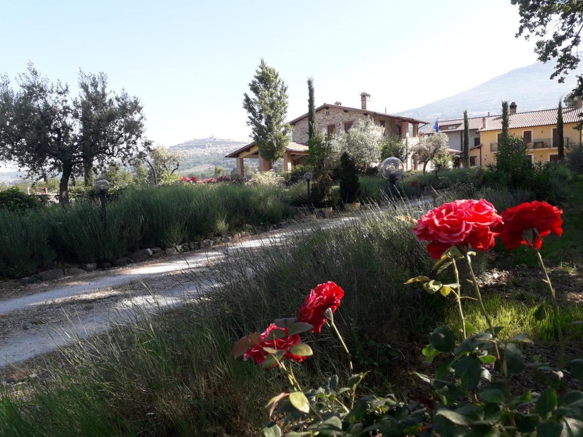 Гостевой дом Sulla Strada Di San Francesco Ассизи Экстерьер фото
