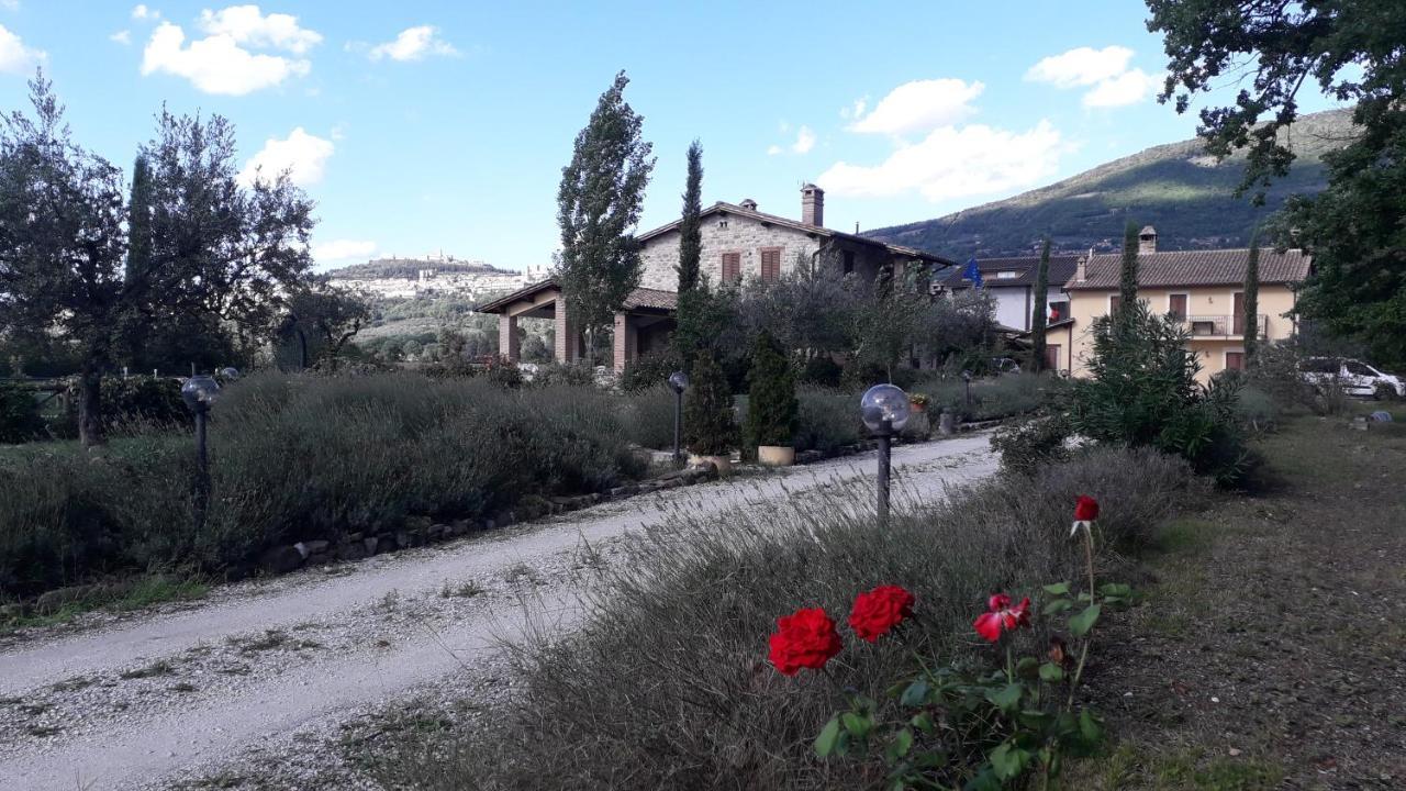 Гостевой дом Sulla Strada Di San Francesco Ассизи Экстерьер фото