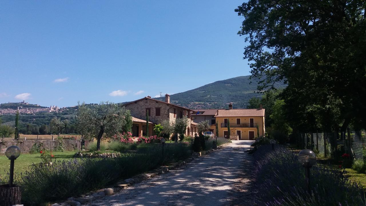Гостевой дом Sulla Strada Di San Francesco Ассизи Экстерьер фото